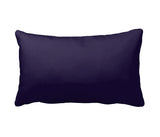 Edgar Allan Poe "Ingenious" Raven Accent Pillow